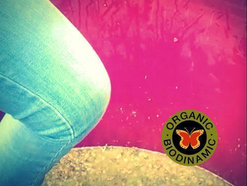 Awakening Xarel·lo for Amphora Natural Wine