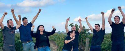 2019 Harvest Diary: A Magnificent Vintage