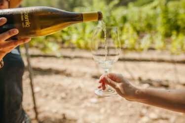 3 organic wines essential for spring