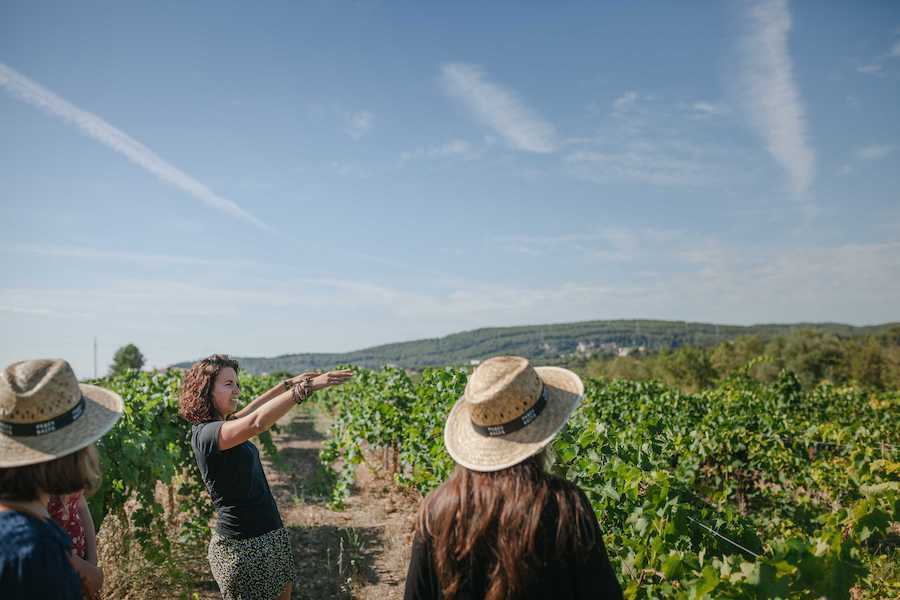 Enoturismo Viñedos ecológicos y biodinámicos de Parés Baltà