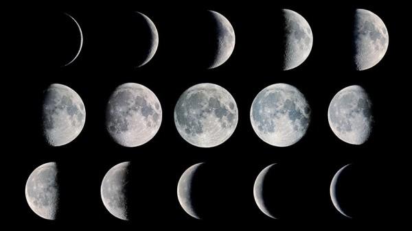 La Luna y la cata de vinos biodinámicos y/o ecológicos