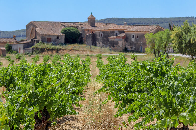 Finca Cal Miret Pares Balta Nuestros viñedos finca cal miret pares balta