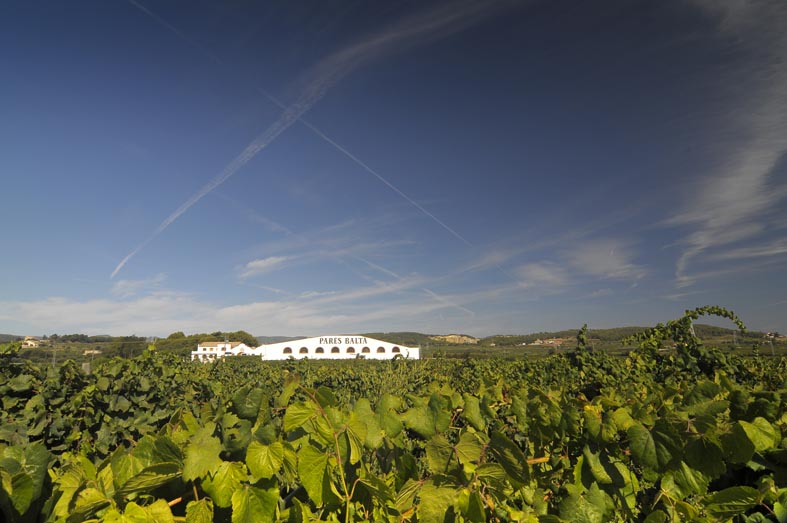 ParesBalta-JordiElias-4 Nuestros viñedos paresbalta jordielias 4