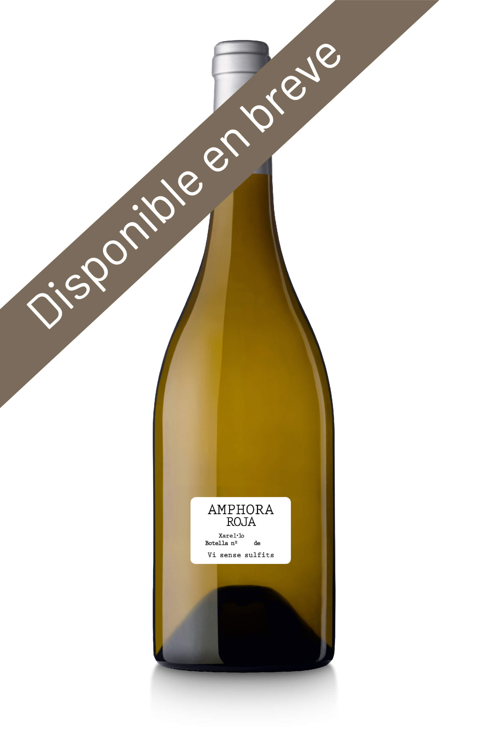 vino-amphora-roja-pares-balta-disponible en breve CAT