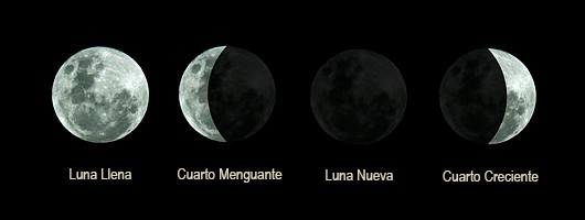 ciclo lunar del calendario biodinámico