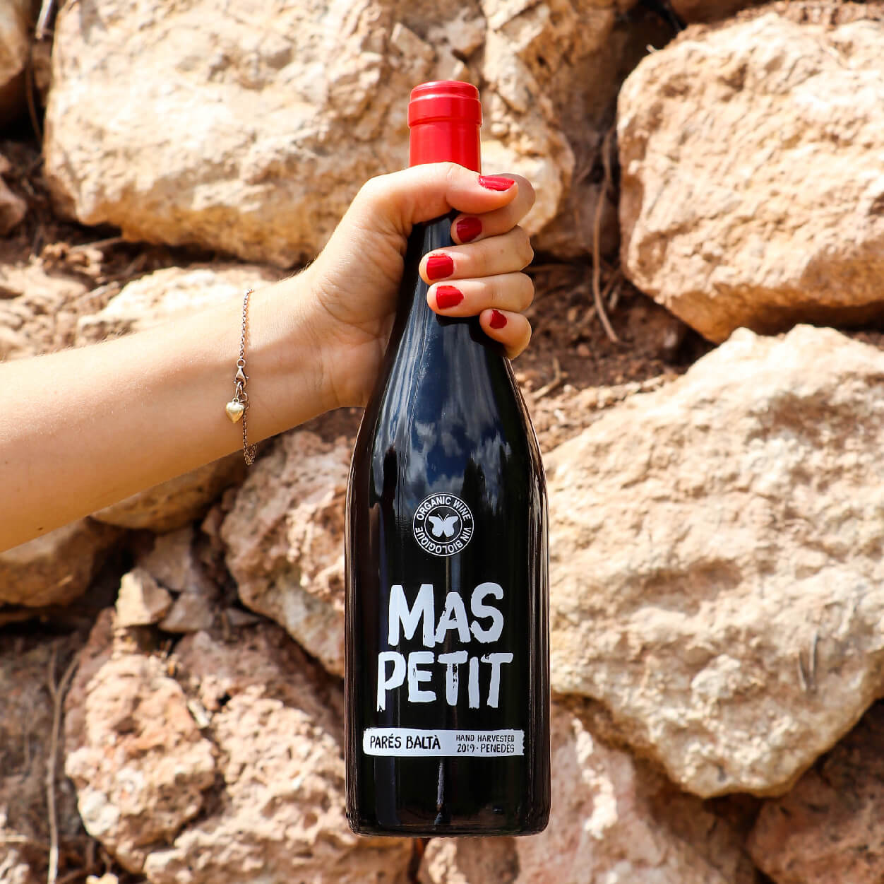 paresbalta-maspetit-2019-01