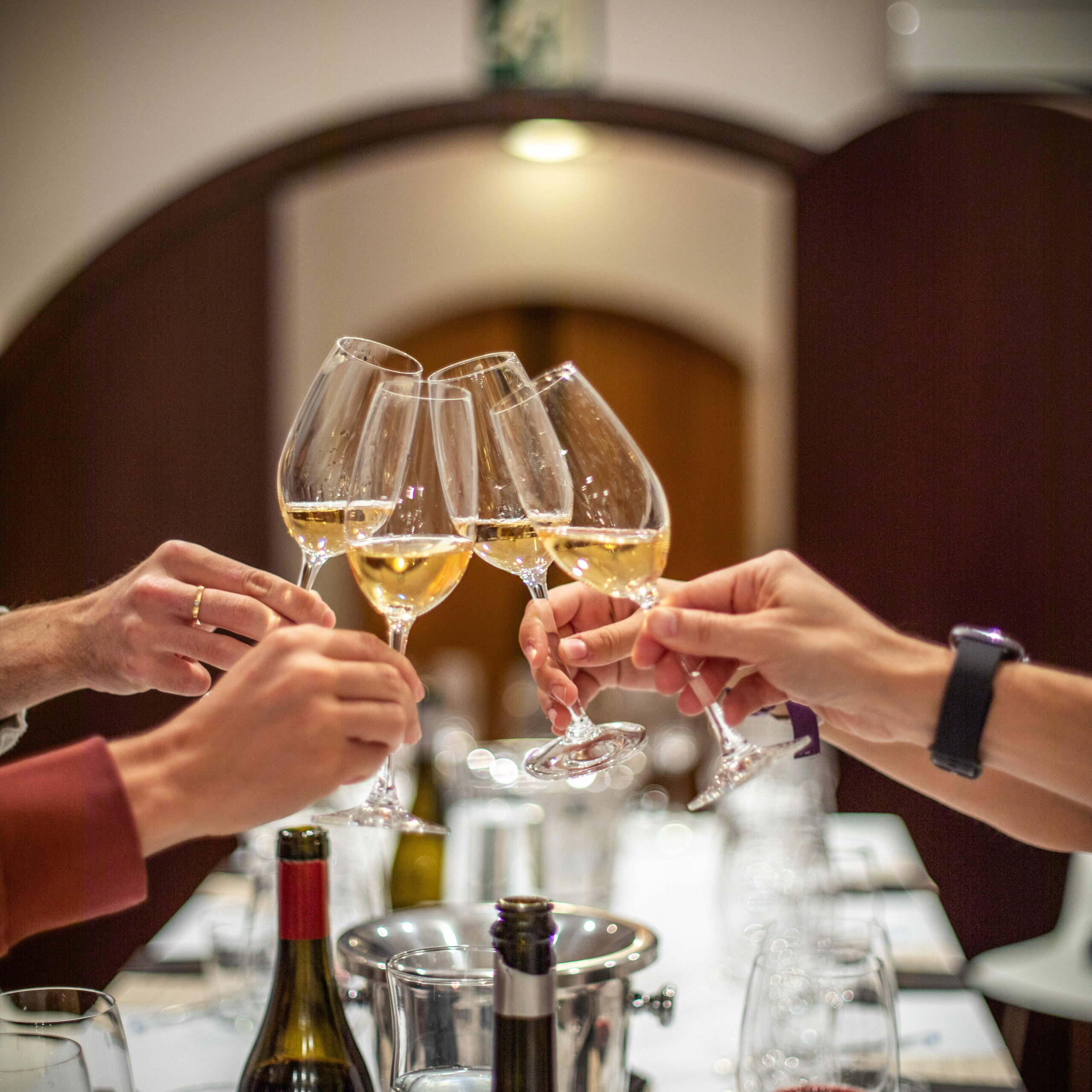 Visita biodinàmica Parés Baltà Penedés