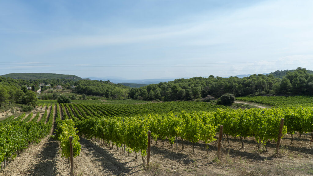 Finca Les Torres. Parés Baltà