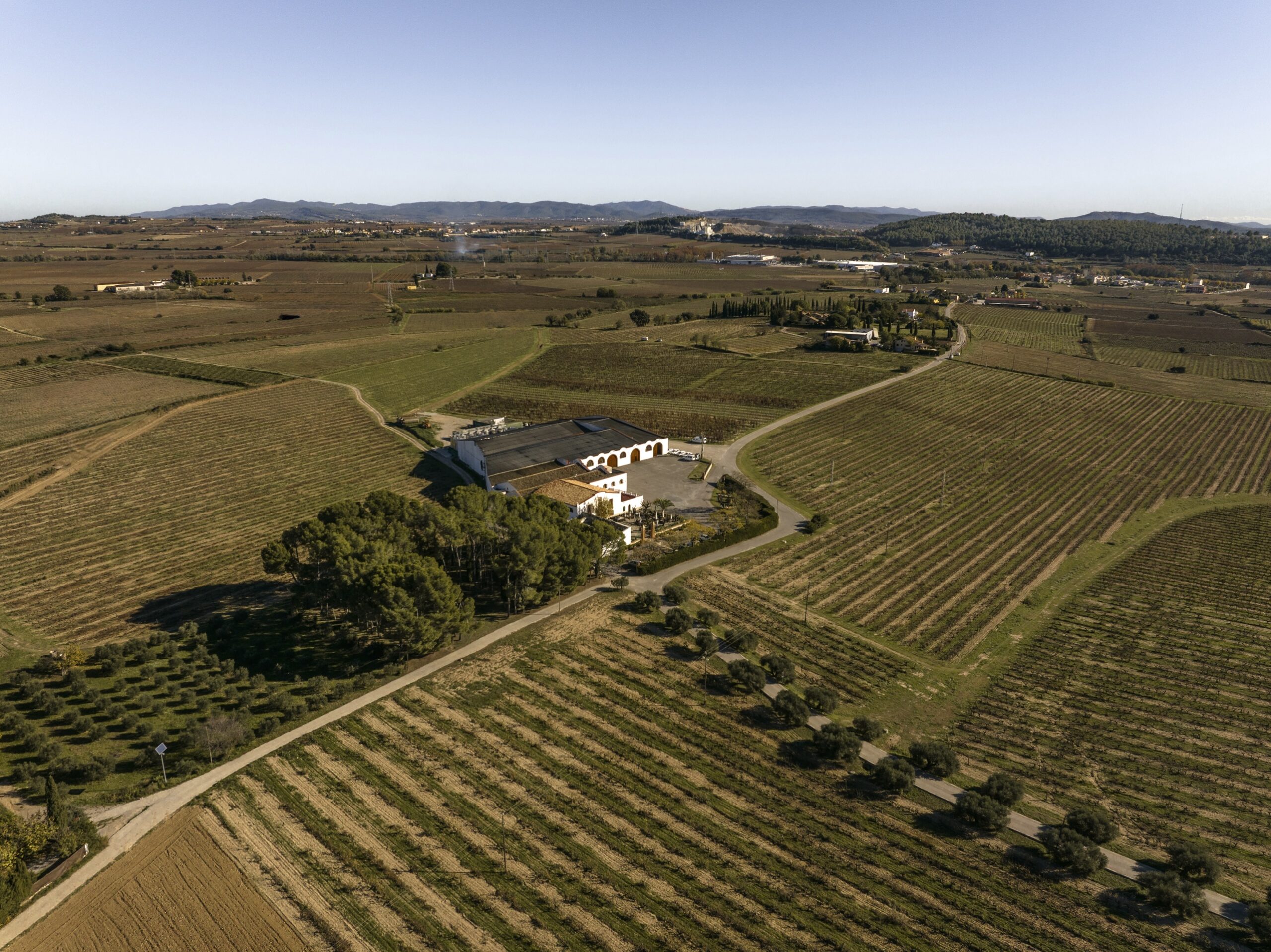 Parés Baltà biodinamico
